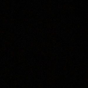 Meet your Posher, Wesley